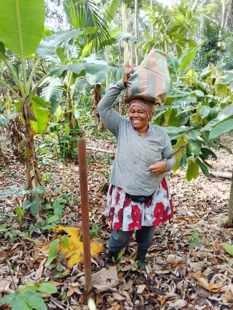 Maman ngokimoni visite projets agr1 mp4