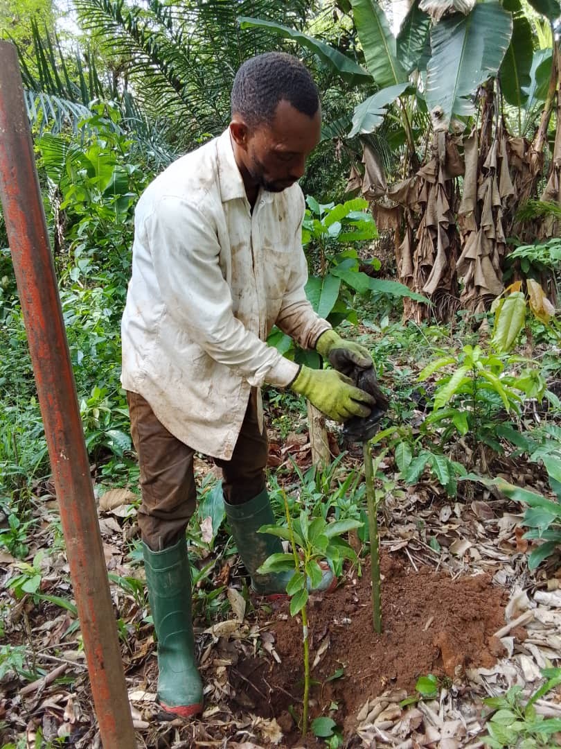 Ngokimoni visite projets agr14 mp4