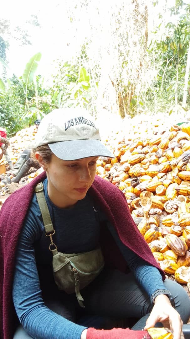 Recolte du cacao nogimoni 2