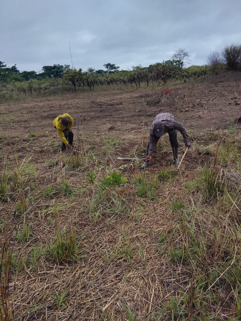 Travail jeudi propre 270325 12