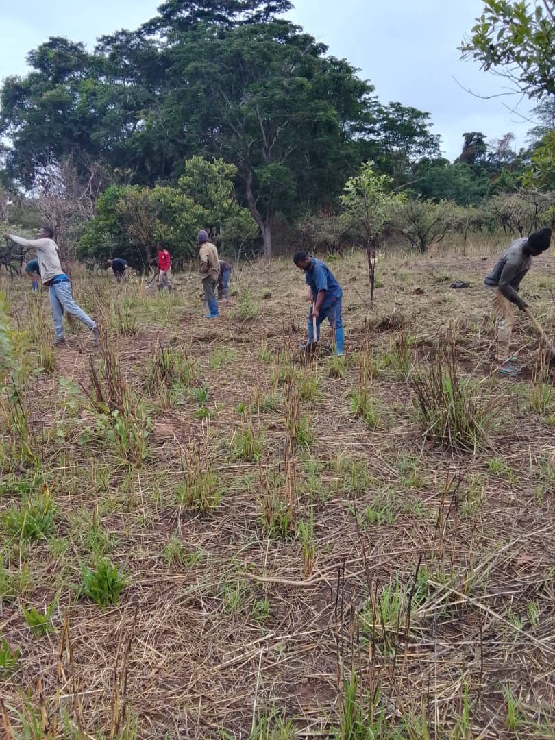 Travail jeudi propre 270325 18